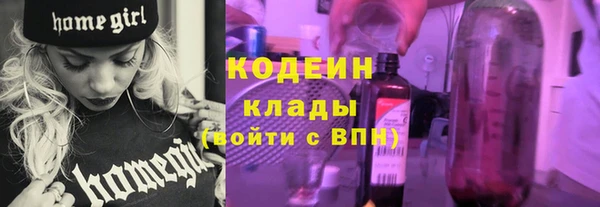 шишки Тайга