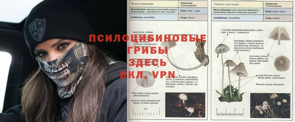 первитин Богородицк