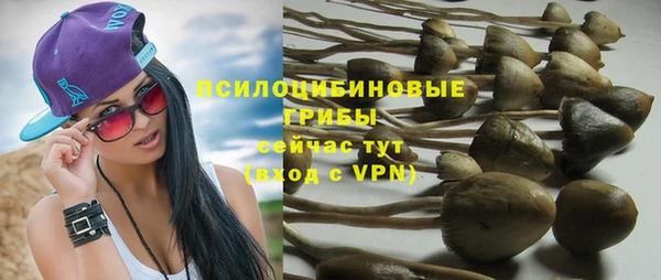 мяу мяу мука Богданович